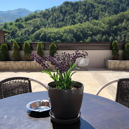 Апартаменты Aphrodite Hills Apartments-stara Planina *